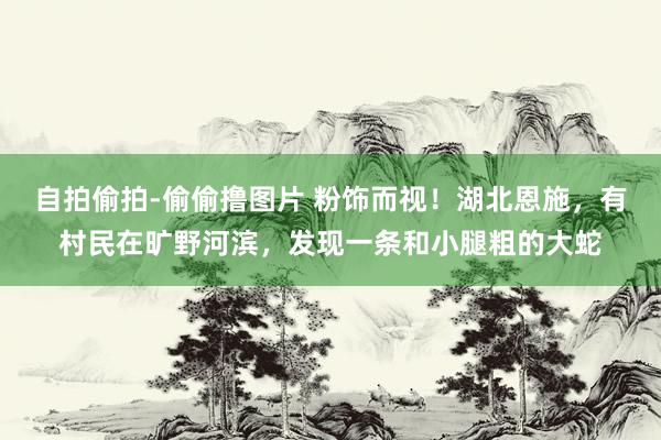 自拍偷拍-偷偷撸图片 粉饰而视!湖北恩施,有村民在旷野河滨,发现一条和小腿粗的大蛇
