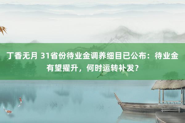 丁香无月 31省份待业金调养细目已公布:待业金有望擢升,何时运转补发?