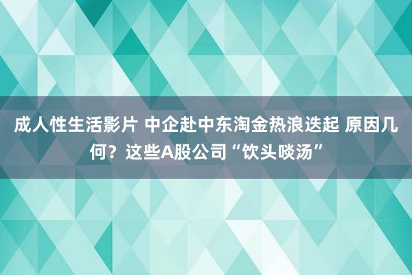 成人性生活影片 中企赴中东淘金热浪迭起 原因几何?这些A股公司“饮头啖汤”