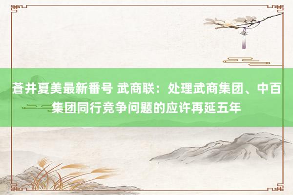 蒼井夏美最新番号 武商联:处理武商集团、中百集团同行竞争问题的应许再延五年