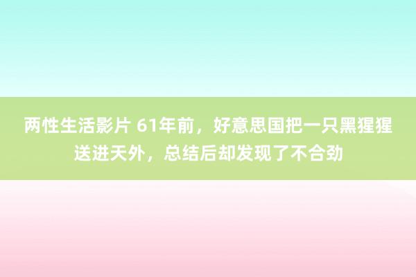 两性生活影片 61年前,好意思国把一只黑猩猩送进天外,总结后却发现了不合劲