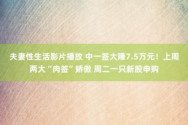 夫妻性生活影片播放 中一签大赚7.5万元!上周两大“肉签”娇傲 周二一只新股申购