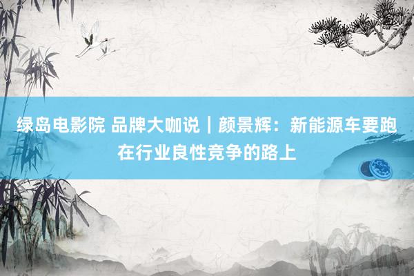绿岛电影院 品牌大咖说|颜景辉:新能源车要跑在行业良性竞争的路上