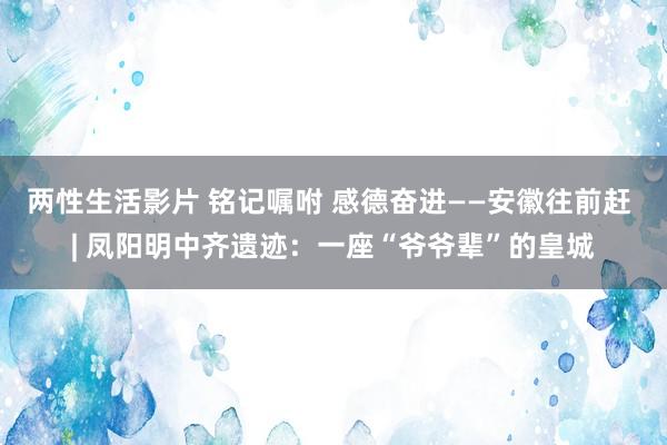 两性生活影片 铭记嘱咐 感德奋进——安徽往前赶 | 凤阳明中齐遗迹：一座“爷爷辈”的皇城
