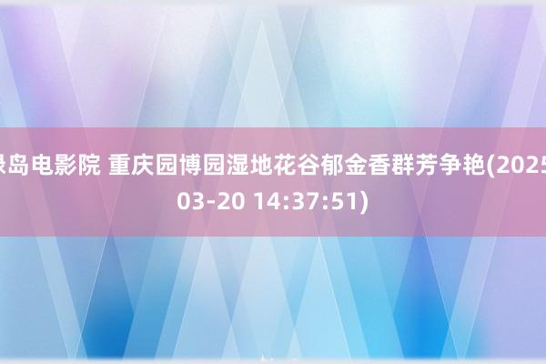绿岛电影院 重庆园博园湿地花谷郁金香群芳争艳(2025-03-20 14:37:51)